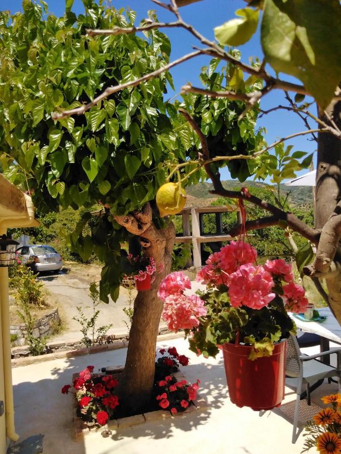 Appartamento Casa Bellissima La Canea Esterno foto